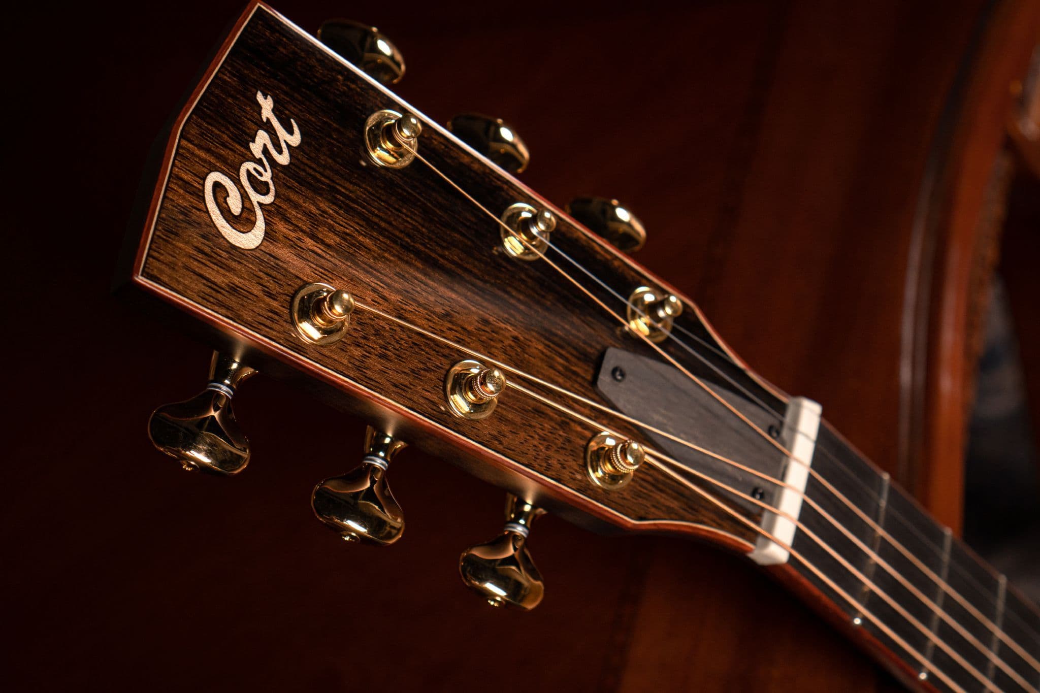 Cort Masterpiece Roselyn Redux Natural Gloss with Case