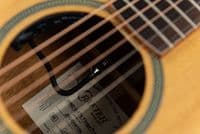 Crafter MIND G17E FGY, Cedar Top Electro Acoustic Guitar