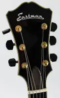 Eastman AR 810CE Guitar with Case