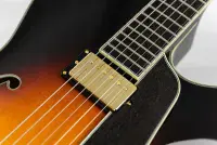 Eastman AR 810CE Guitar with Case