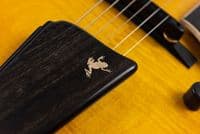 Eastman AR480CE SB, John Pisano 30th Anniversary Edition