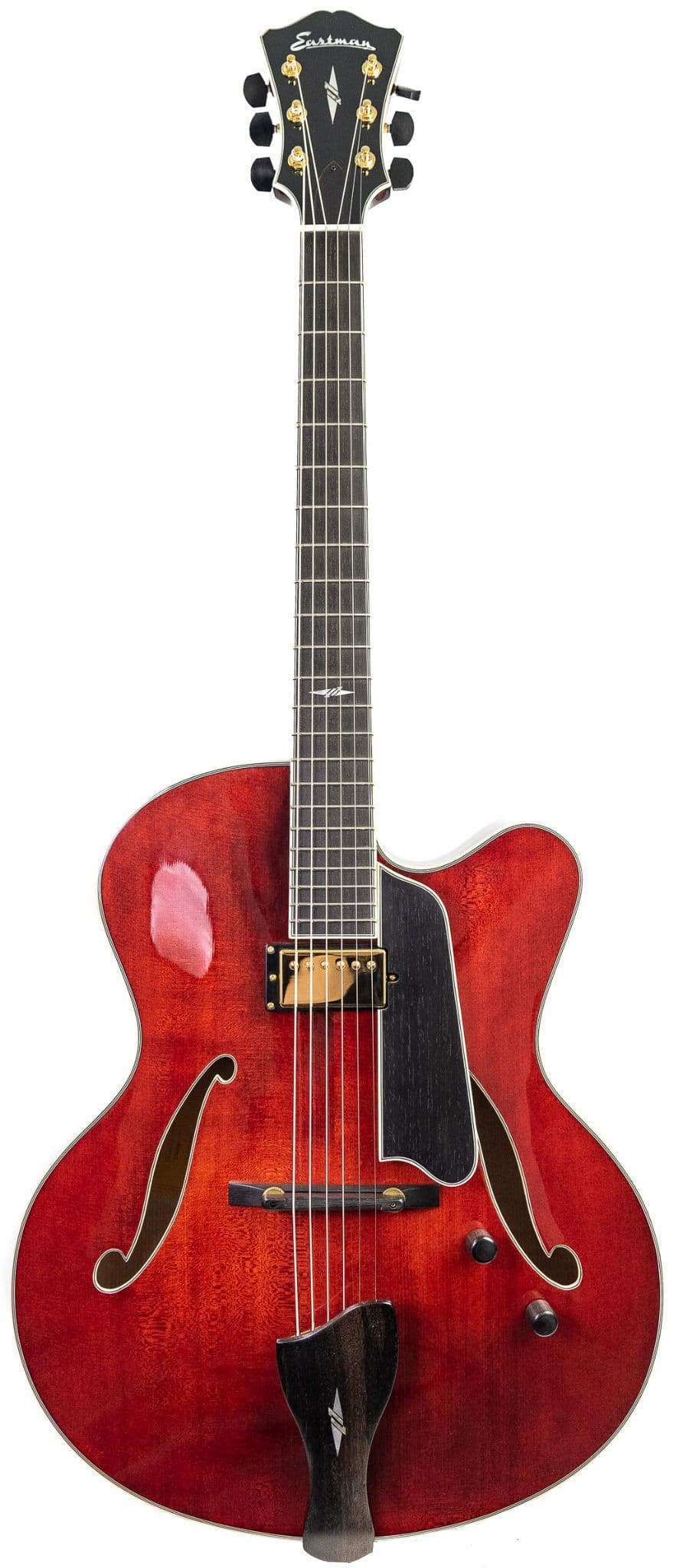 Eastman AR810CE Guitar inc Case