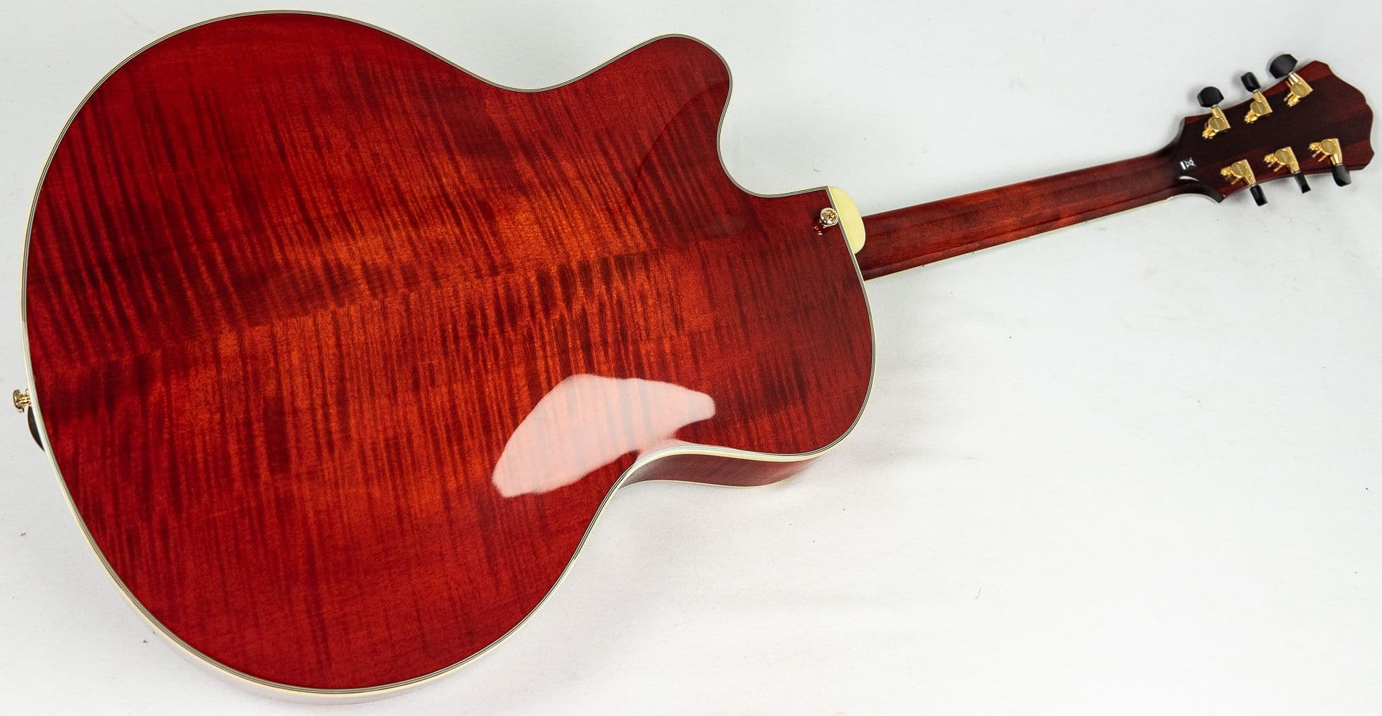 2019年製 Eastman AR810CE Eastman AR810CE Guitar inc Case