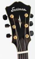Eastman AR810CE Guitar inc Case