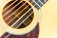 Eastman E10OO TC Acoustic Guitar with Thermo Cure Top and Case