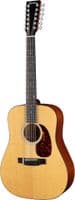 Eastman E1D-12 Deluxe 12 String  Guitar with Pickup, Inc Dlx Gigbag
