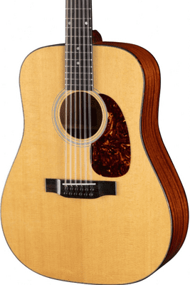 Eastman E1D-12 Deluxe 12 String Guitar with Pickup, Inc Dlx Gigbag