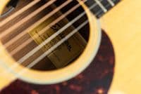 Eastman E1D Deluxe Guitar with Gigbag