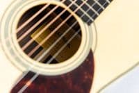 Eastman E20P Parlour Guitar with Case