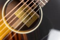 Eastman E6 LGSS TC Thermo-Cure Top Acoustic Guitar with Case