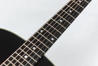 Eastman E6SS TC Thermo-Cured Sunburst Guitar with Pick  Up