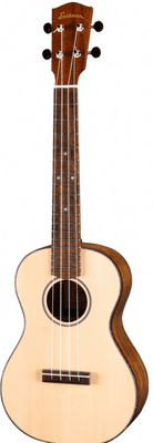 Eastman EU2-T