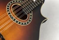 Eastman MD314E SB Electro Sunburst F Style Mandolin,  with Gigbag