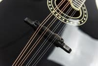 Eastman MD404-BK Mandolin, Black, With Case