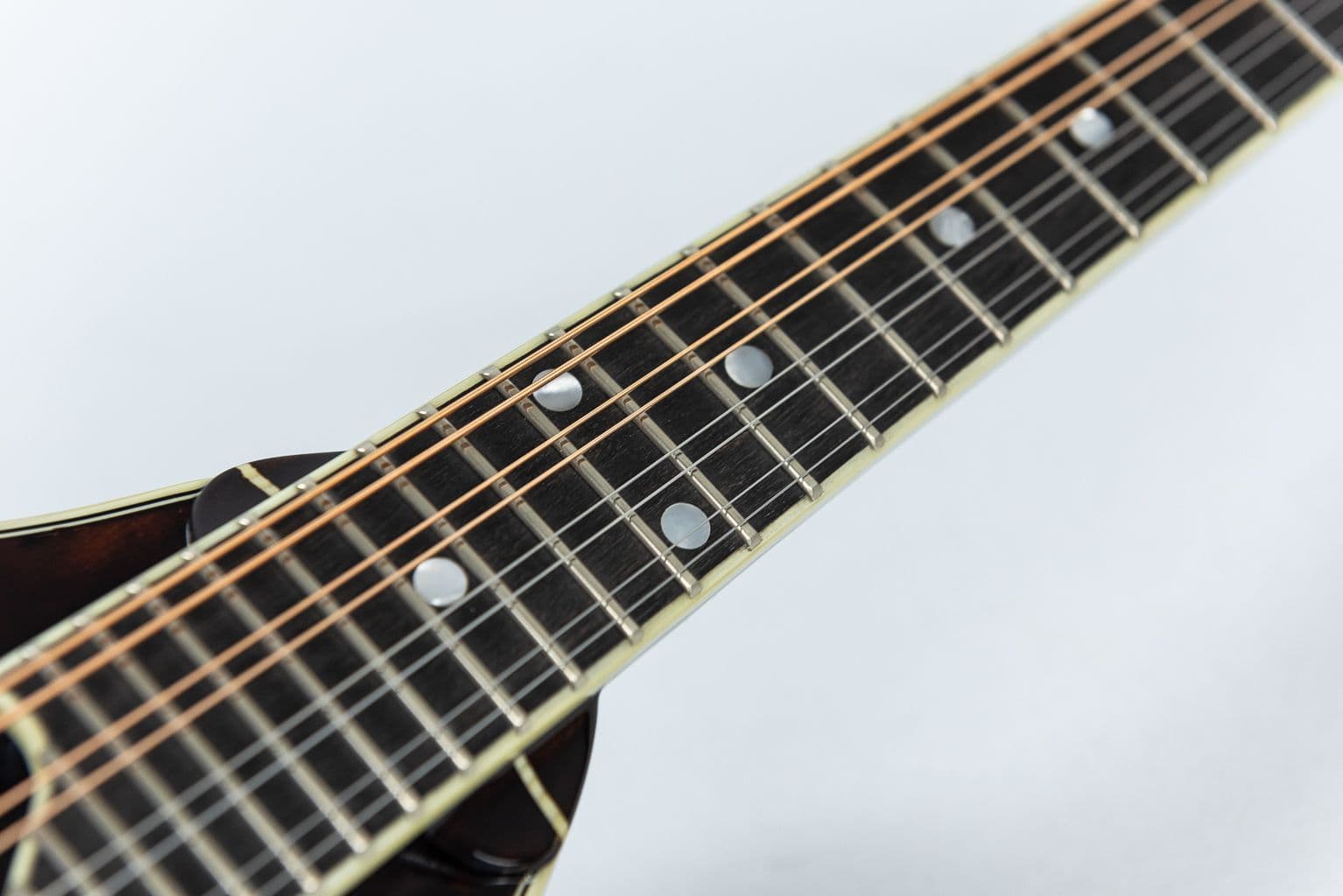 訳あり Eastman MD505　マンドリン ハードケース付き Eastman MD505 Handcrafted A-Style Mandolin with Case
