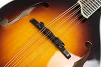 Eastman MD505 Mandolin Handcrafted, Sunburst with Case