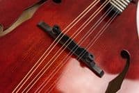 Eastman MD505CC/TV Mandolin w/ Contoured Comfort Edge, Inc Case