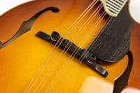 Eastman MD615 Mandolin in Goldburst with Case