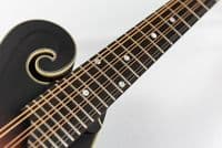 Eastman MDA315E SB Electro Mandola, Sunburst with Gig Bag