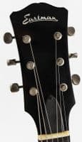 Eastman SB55/v-SB Guitar with Case
