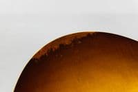 Eastman SB59/v GB Antique Goldburst, Inc Case