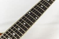 Eastman T484 guitar in Goldburst, with Case