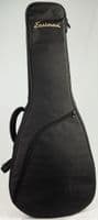 Eastman T58-GD Gold Guitar with Gigbag