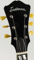 Eastman T58-GD Gold Guitar with Gigbag