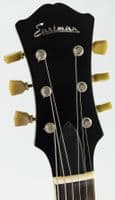 Eastman T64/TV Limited Edition Olive Drab with Bigsby and Case