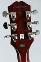 Epiphone Les Paul Special Doublecut Figured Bourbon Burst