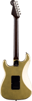 Fender Custom Shop Postmodern Stratocaster DLX Closet Classic