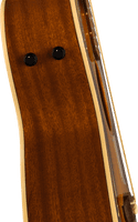 Fender Newporter Player, Gold Pickguard, Sunburst