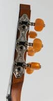 Furch GNC 4 CRa Nylon Cedar and Rosewood