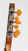 Furch GNC 4 SRa Nylon Spruce and Rosewood, inc Case