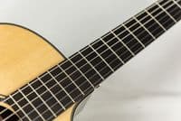 Furch GNC 4 SRa Nylon Spruce and Rosewood, inc Case