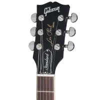 Gibson Les Paul Standard 60s, Deep Purple