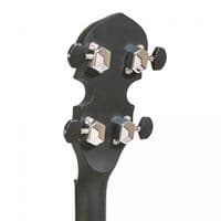 Gold Tone AC-4 Banjo