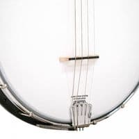 Gold Tone AC-4 Banjo