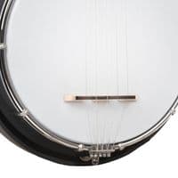 Gold Tone AC MINI Banjo