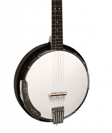 Gold Tone AC5 Banjo with Gig Bag