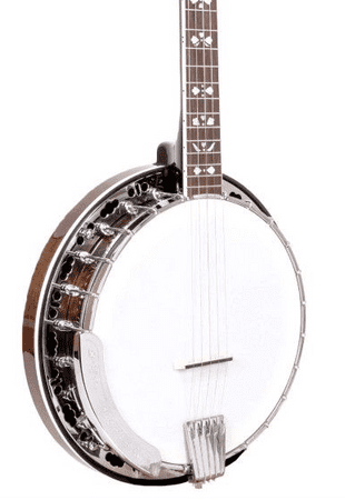Gold Tone BG-150F Banjo with Gigbag