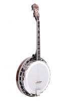 Gold Tone IT 250F Irish Tenor Banjo