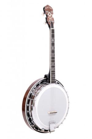 Gold Tone IT 250F Irish Tenor Banjo