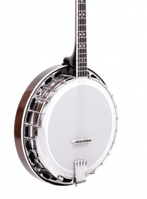 Gold Tone IT 250F Irish Tenor Banjo