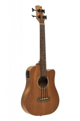 Gold Tone M-BASS/FL Fretless Version Micro Bass