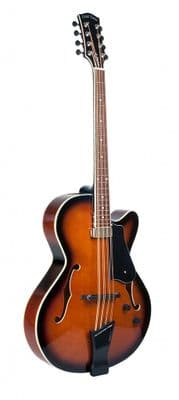 Gold Tone Mandocello with Pickup and Case