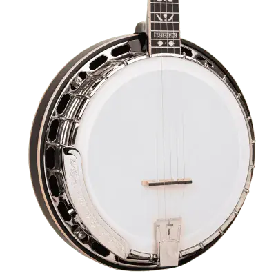 Gold Tone Mastertone OB-250AT: Orange Blossom Banjo Arch Top