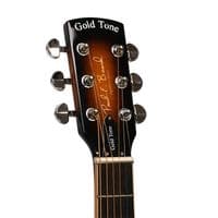 Gold Tone PBR-D Paul Beard Deluxe Version Resophonic with Case