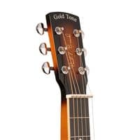 Gold Tone PBS-D Paul Beard Resophonic Deluxe Squareneck with Case
