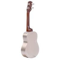Gold Tone RESOUKE CONCERT